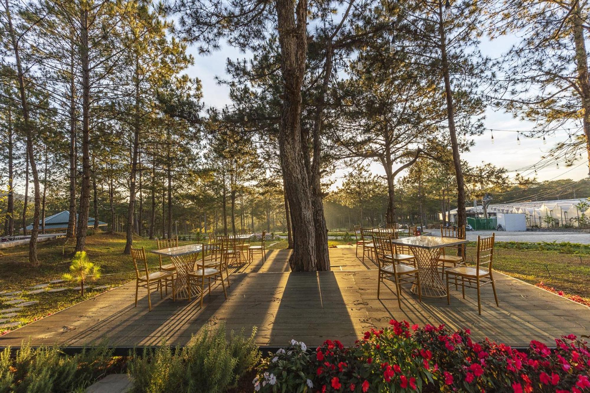 Kim - Khu Nghi Duong Rung La Kim Da Lat